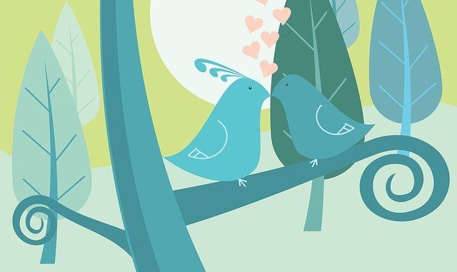 birds-979262_640