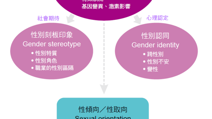 性別概念關係圖